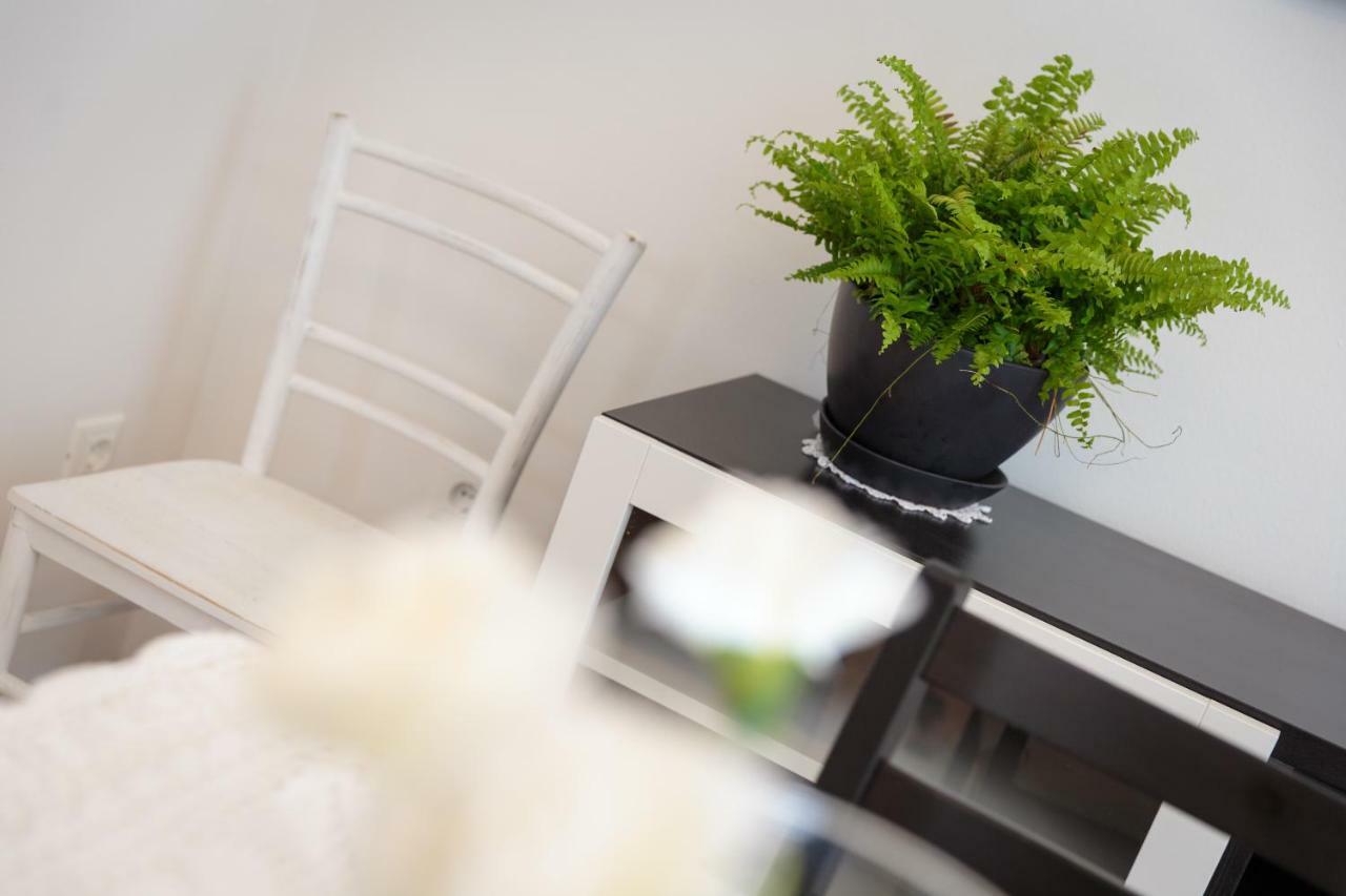 Apartments C52 Rovigno Esterno foto